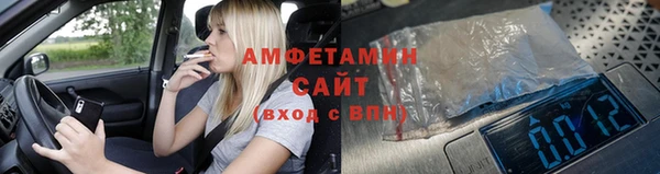 шишки Горно-Алтайск