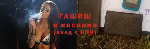 шишки Горно-Алтайск