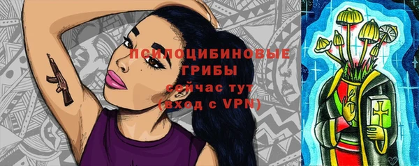 бошки Горнозаводск