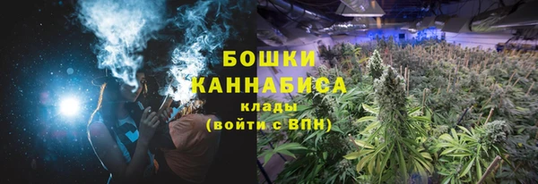 шишки Горно-Алтайск
