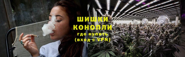 шишки Горно-Алтайск