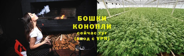 шишки Горно-Алтайск