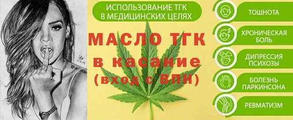 шишки Горно-Алтайск