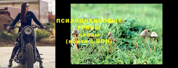 молекула духа Вязьма
