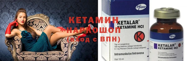 шишки Горно-Алтайск