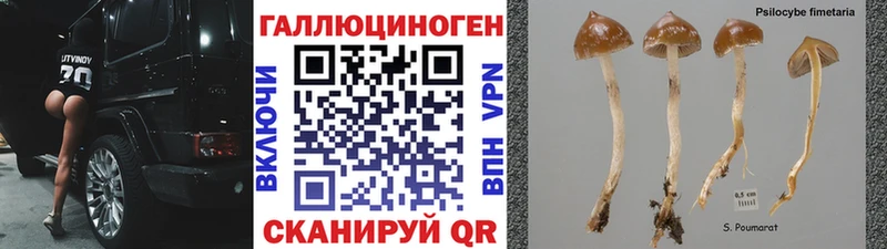 Галлюциногенные грибы мухоморы  Кисловодск 